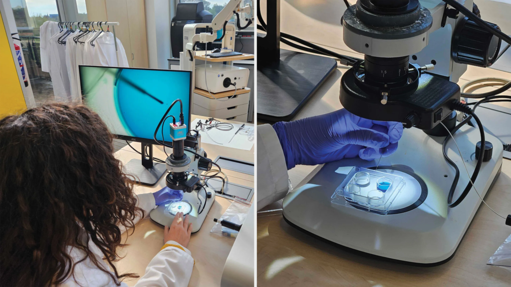 AI Robot IVF Gene Editing Future Is Closer Than You Think