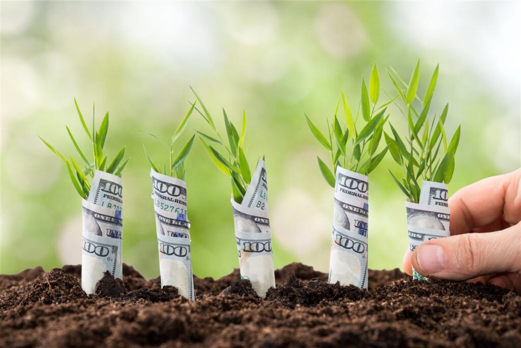 U.S. Seed Funding Boom Locks Capital Into Bay Area