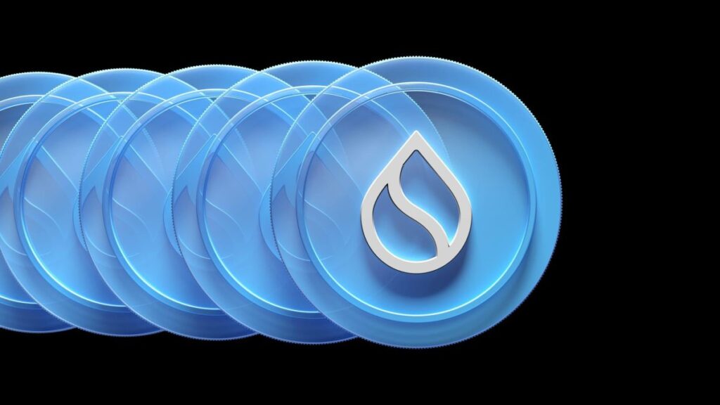 Sui Network Suffers Hours-Long Outage Months After Previous Downtime