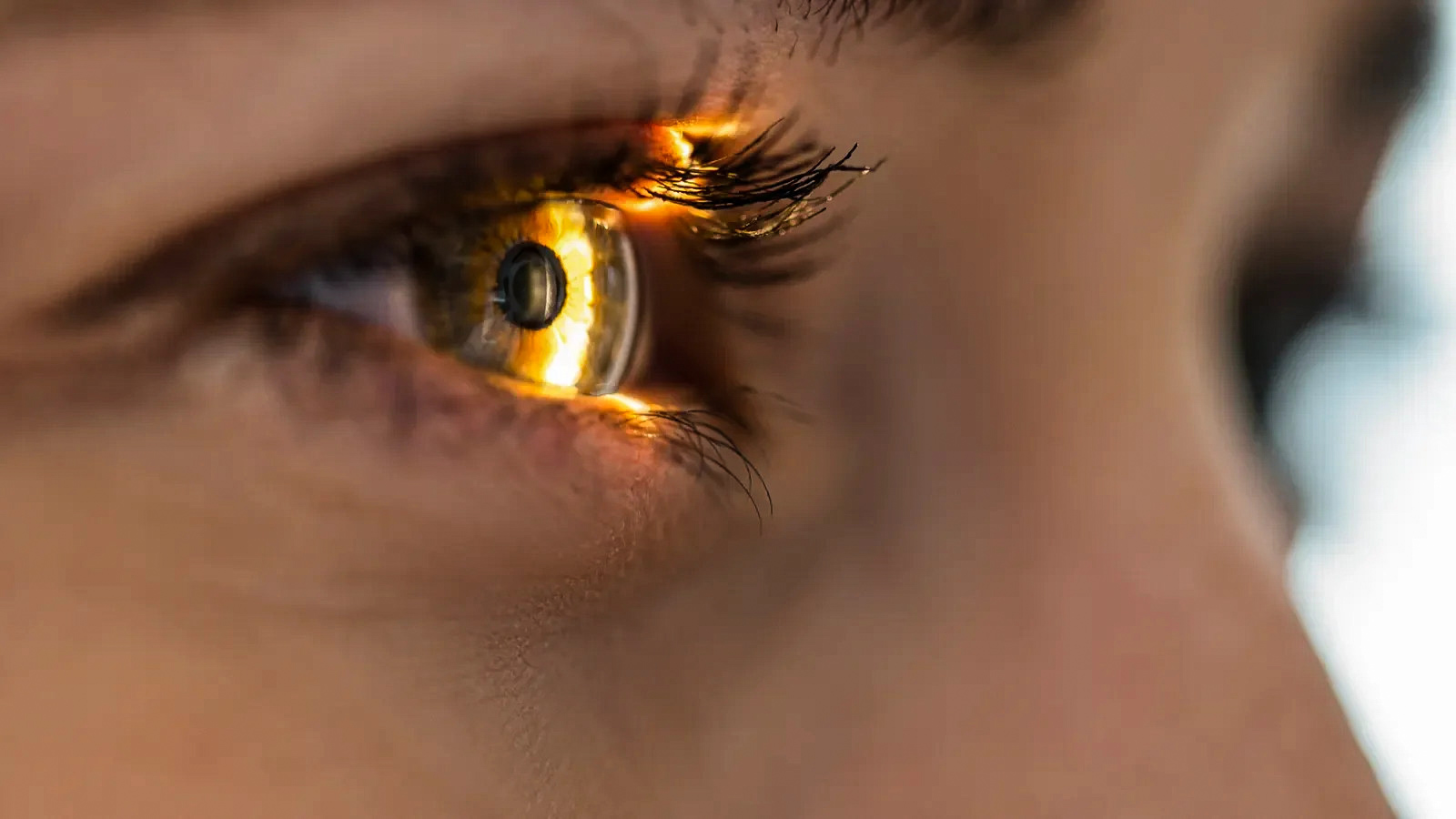 Ollin Biosciences Bags $330M to Take Eye Drug Into Phase 3